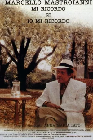 星光在我心海报