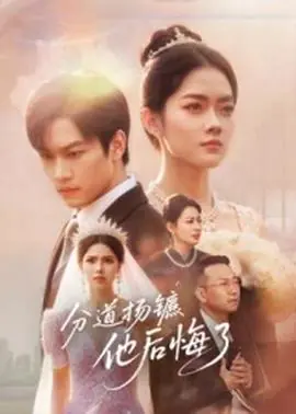 分道扬镳,他后悔了海报