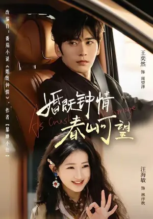 婚既钟情,春山可望(热恋,从新婚开始)海报