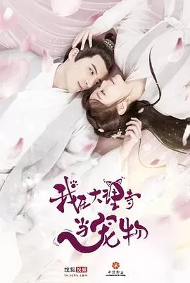 我在大理寺当宠物[电影解说]海报