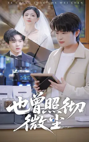 也曾照彻微尘海报