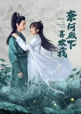 奈何殿下喜欢我第二季海报