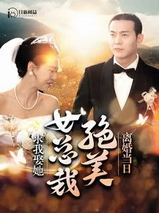 离婚当日,绝美女总裁求我娶她海报