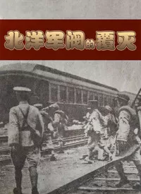 北洋军阀的覆灭海报