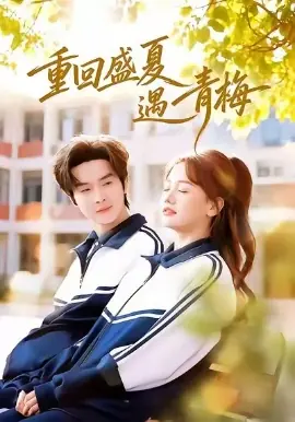 重回盛夏遇青梅海报