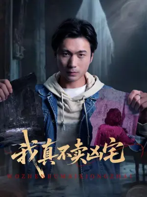 我真不卖凶宅海报
