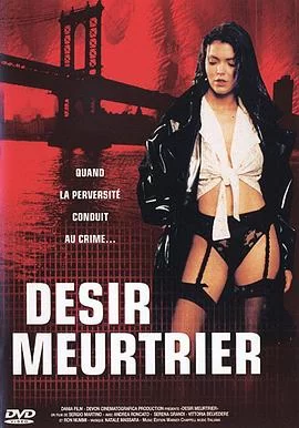 欲望交叉点海报