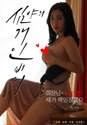 深夜的私人秘书海报