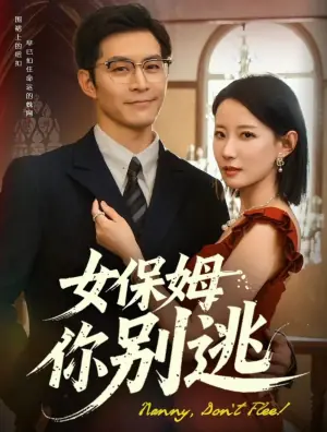 女保姆你别逃海报