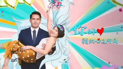 你好,我的心之所向海报