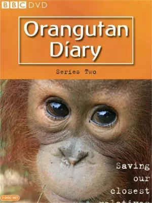 BBC.猩猩日记第二季海报