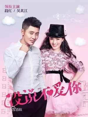 没说不爱你海报