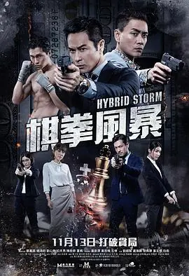 棋拳风暴海报