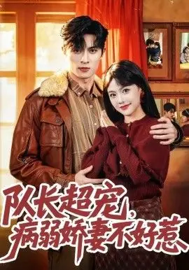 队长超宠,病弱娇妻不好惹海报