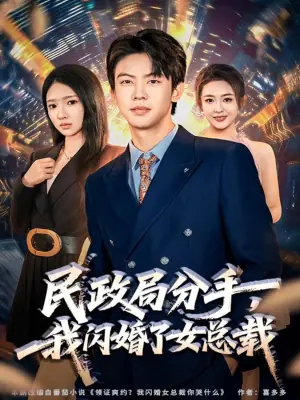 民政局分手,我闪婚了女总裁海报