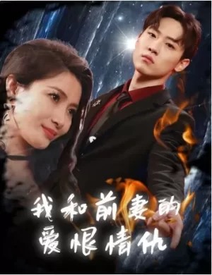 我和前妻的爱恨情仇海报
