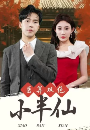 医算双绝小半仙海报