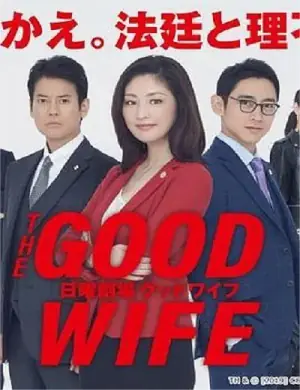 傲骨贤妻海报