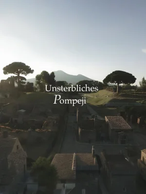 难以言喻的庞贝海报