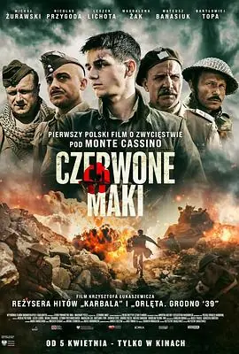 浴血卡西诺海报