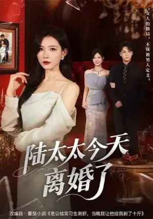 陆太太今天离婚了海报