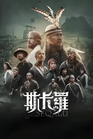 斯卡罗海报