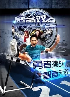 智勇双全海报