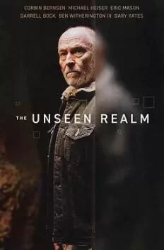 看不见的领域海报