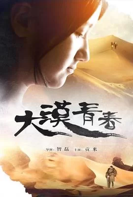 大漠青春海报