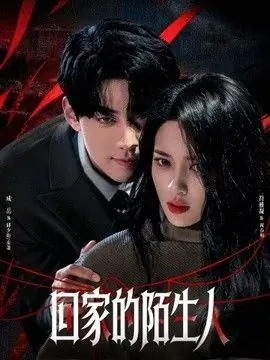 回家的陌生人海报