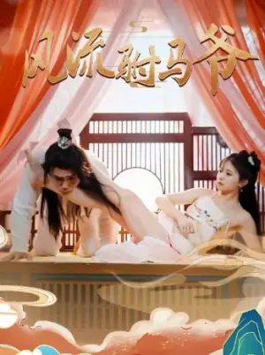 风流驸马爷海报