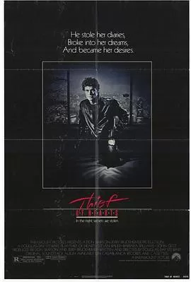 神偷淑女情海报