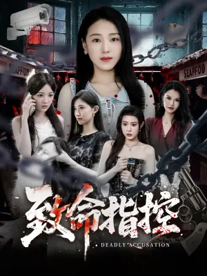 致命指控海报