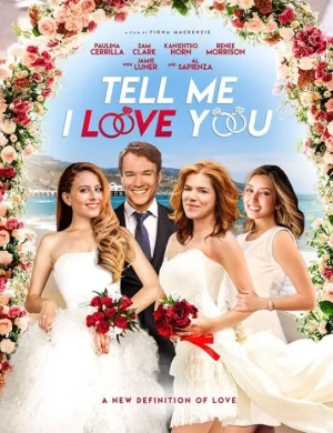 告诉我我爱你海报