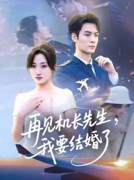 再见机长先生,我要结婚了海报