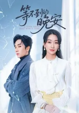 未说完的晚安等不到的晚安海报