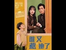 谁又惹她了海报