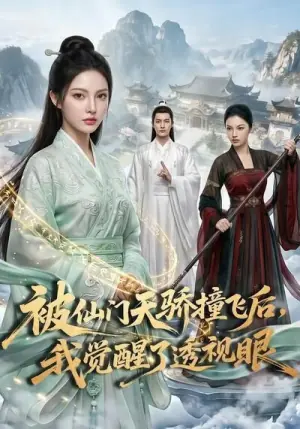 被仙门天骄撞飞后,我觉醒了透视眼海报
