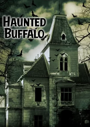 闹鬼的水牛海报