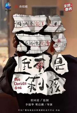 我不是笨小孩海报