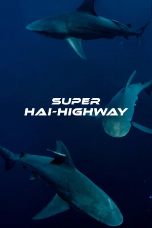 超級鯊魚大道(港)海报