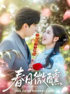 春日微醺海报