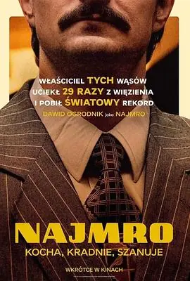 落跑天王Najmro.Kocha,kradnie,szanuje海报