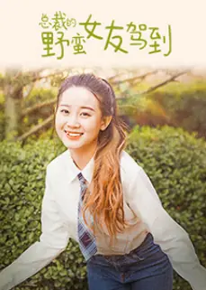 总裁的野蛮女友驾到海报