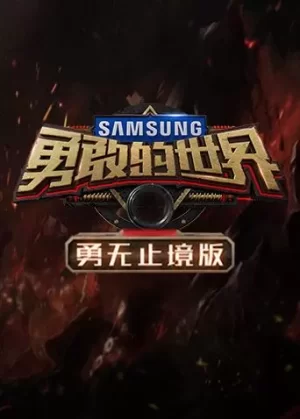 勇敢的世界勇无止境版海报