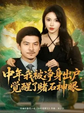 中年我被净身出户,觉醒了赌石神眼海报
