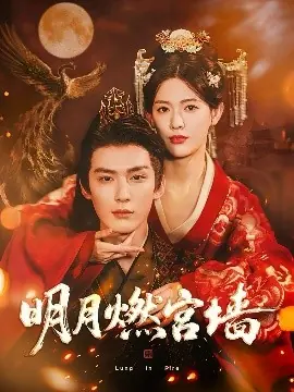 明月燃宫墙海报