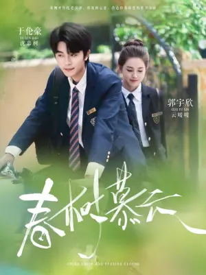 春树慕云海报