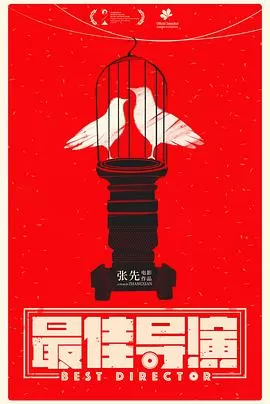 最佳导演海报