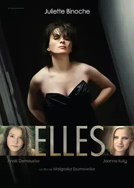 她们Elles海报